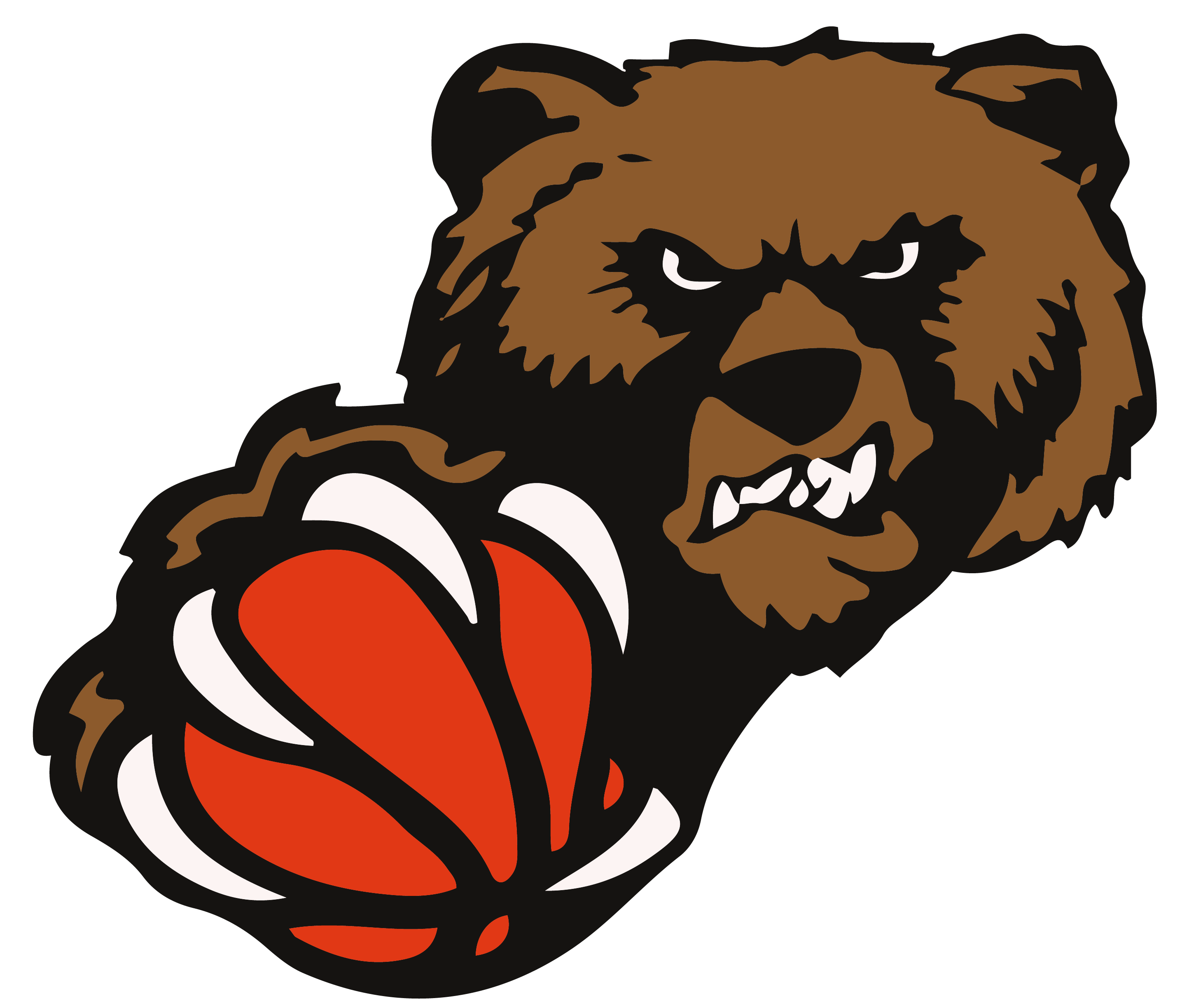 VSC Baskets Donauwörth